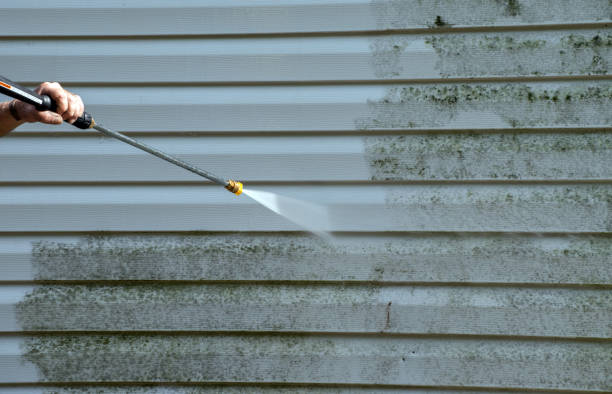 Best Sidewalk Pressure Washing  in Royse City, TX