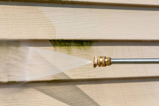 Best Exterior Home Cleaning  in Royse City, TX